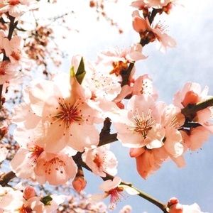 Meet your Posher, Stephanir